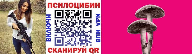Галлюциногенные грибы ЛСД  omg зеркало  Приозерск 