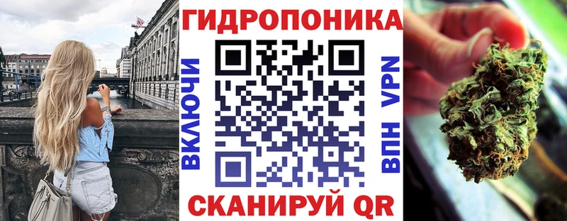 KRAKEN ТОР  Приозерск  Конопля планчик 